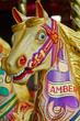 Carousel Ride