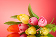 Tulips on red background