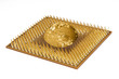 Processor
