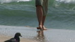 Video: Young woman at shoreline of ocean Young woman at shoreline of ocean