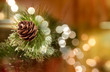 Chirstmas pine cone