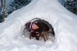 Mädchen mit Schlitten im Iglu
