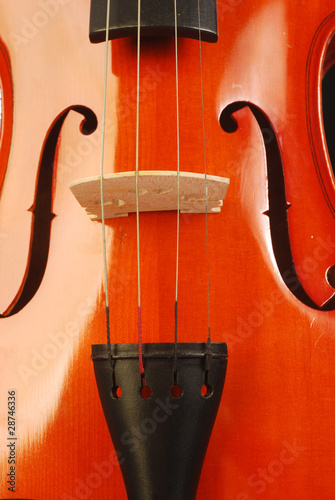 Photo: Violin 004 Violin 004