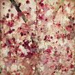 Photo: Grunge pink blossom background Grunge pink blossom background