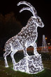 Bouquetin de lumière Bouquetin de lumière