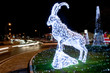 Bouquetin de lumière Bouquetin de lumière