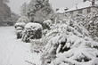Winter in London Park