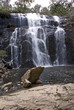 McKenzie Falls