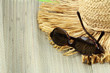 lunettes de soleil et chapeau de paille sur tapis de plage