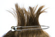 Haarklammer schwarz76756
