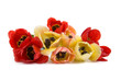 Beautiful bouquet of tulips