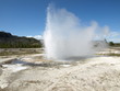 Yellowstone Nationalpark