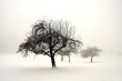 Winterland