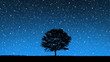 Stars Behind Tree