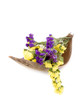 Statice flowers - Limonium Sinuatum