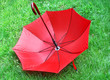 bright red umbrella