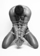 Photo: Shibari Shibari