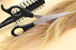 Haarpflege