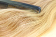 Haare, Kamm