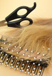 Friseur