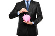 Putting a coin into a piggy bank Putting a coin into a piggy bank