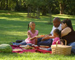 Picnic Pass
