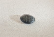 zen