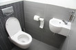 Toilet in shades of grey