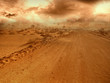 Desert Road