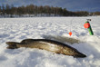 Winter lake fishing