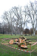 Foto: Stadtpark Stadtpark