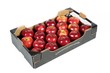 Box of fresh red apples isolated on white background
