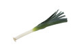 Leek