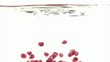 GranatApfel 12 (15)