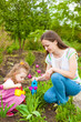 Woman with girl watering flowers Woman with girl watering flowers