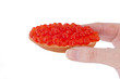 Bread and red caviar Bread and red caviar