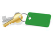 Jeu de Clés avec Porte-clés (serrure image 3d clefs cadenas or)