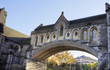 Archwy of Christ Church Cathedral - Dublin, Ireland (Irland)