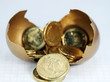 A Golden Egg