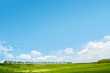idyllic summer landscape