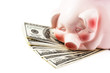 Happy piggybank on heap of dollars Happy piggybank on heap of dollars