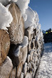 Foto: holzstämme im schnee holzstämme im schnee