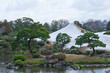 Japanese Garden Park with snow in winter