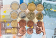 Collection of Estonian euro coins over euro banknotes Collection of Estonian euro coins over euro banknotes