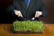 Foto: Man holding a fork and knife cutting into a plate of grass Man holding a fork and knife cutting into a plate of grass