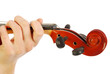 Photo: The sound of the violin The sound of the violin