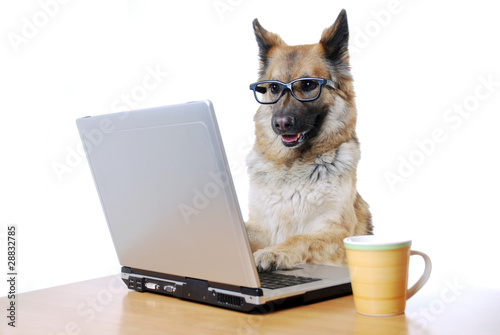 Foto: Im Büro Im Büro