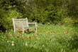 Wooden bench in flowerful garden