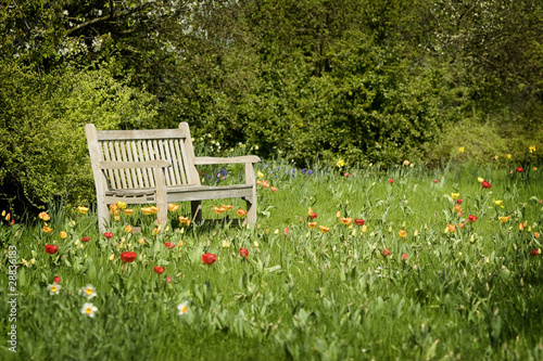 Photo: Wooden bench in flowerful garden Wooden bench in flowerful garden