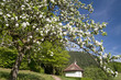 Konradskapelle